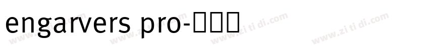 engarvers pro字体转换